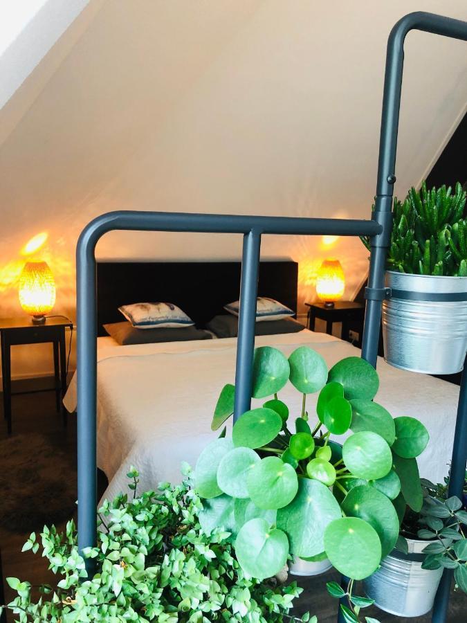 Happy Bentveld Guesthouse Екстериор снимка